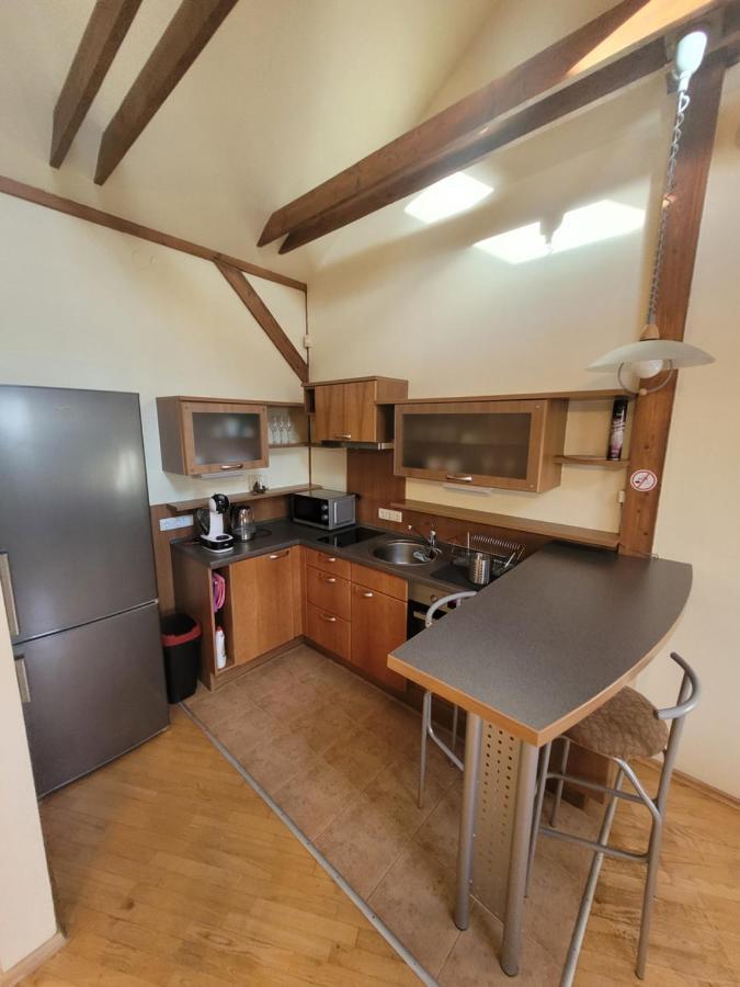 D-mansard, Free Parking, Self-check-in Apartment Klaipeda
